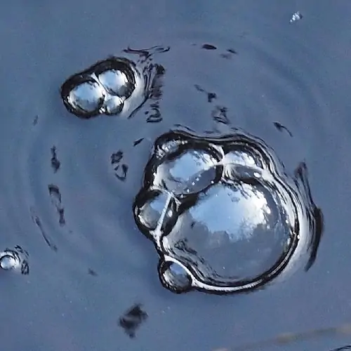 bubbles in water from hole in pond liner