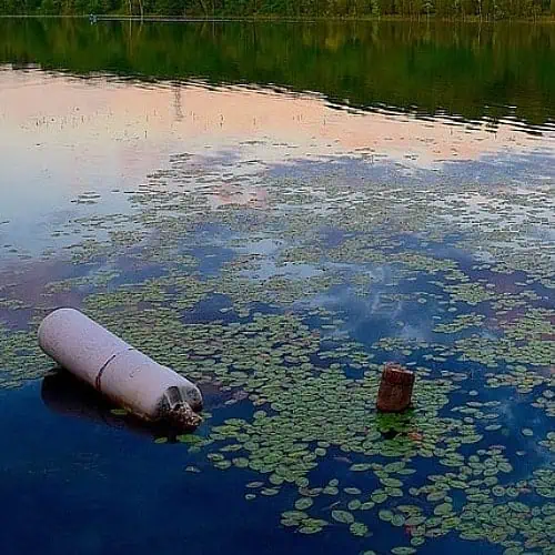 surface debris that will be removed by a lake blower