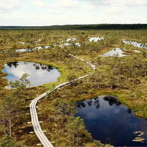 The Great Kemeri Bog in Latvia